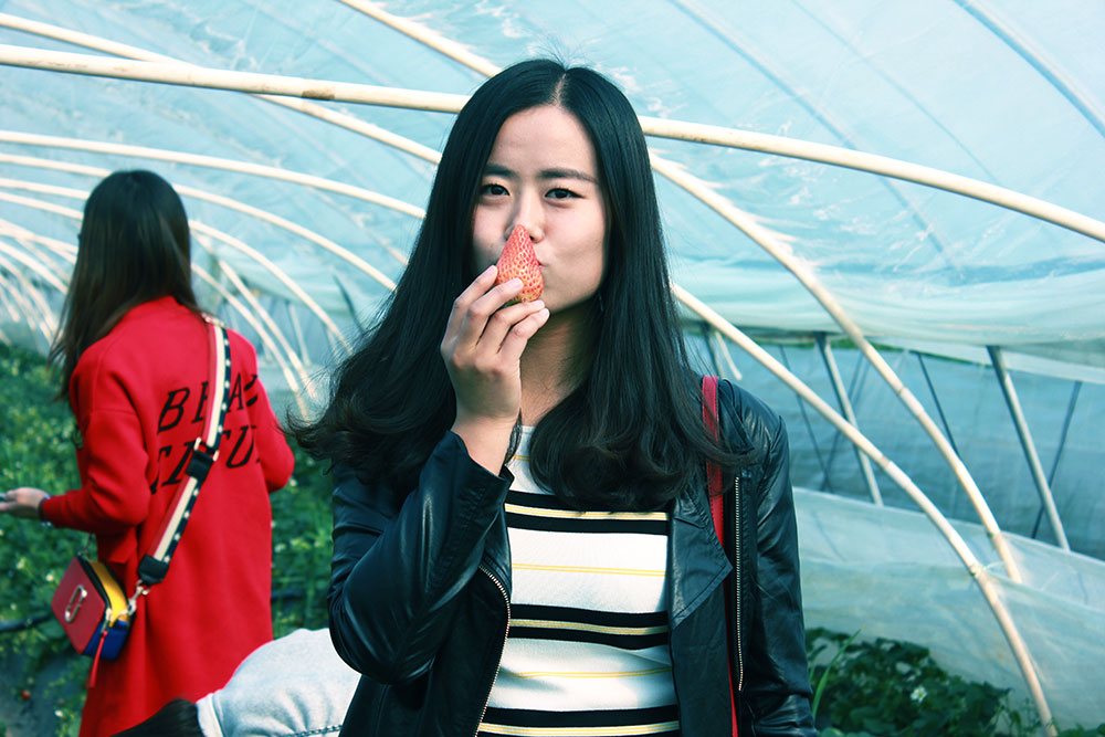 億誠(chéng)建設(shè)三八婦女節(jié)摘草莓 億誠(chéng)建設(shè)三八婦女節(jié)摘草莓