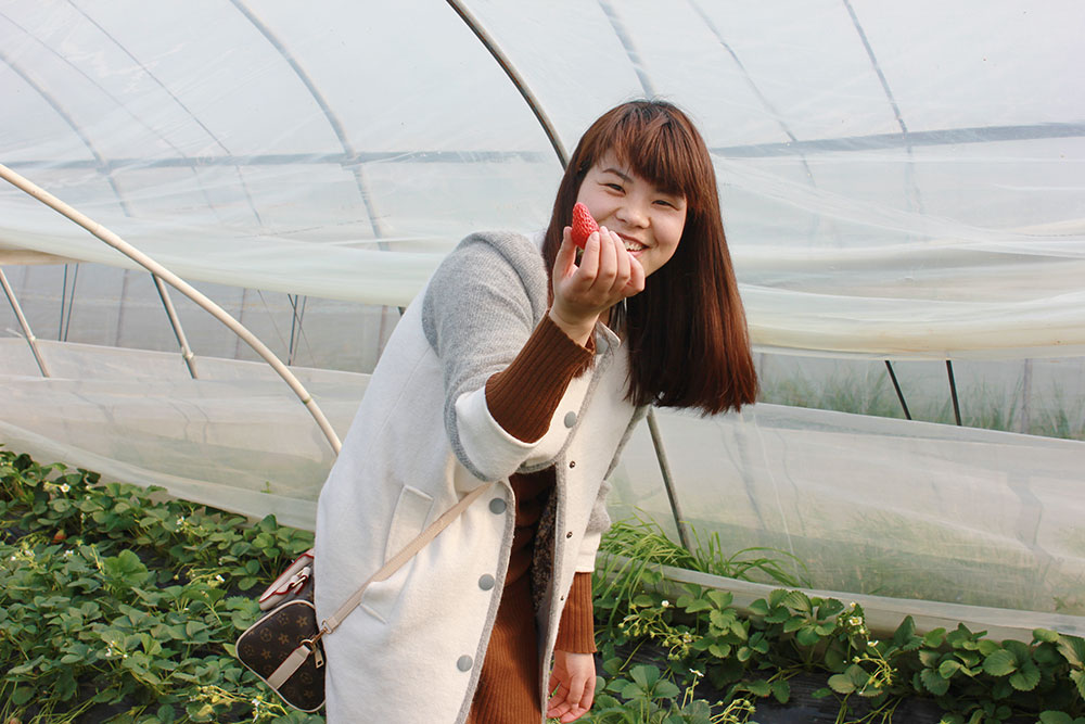 億誠(chéng)建設(shè)三八婦女節(jié)摘草莓 億誠(chéng)建設(shè)三八婦女節(jié)摘草莓