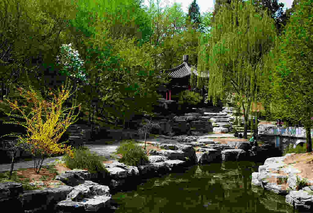 園林景觀 園林景觀